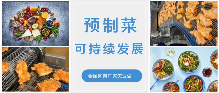 金屬輸送網(wǎng)帶的領(lǐng)頭企業(yè)，預(yù)制菜的可持續(xù)發(fā)展中能做什么？